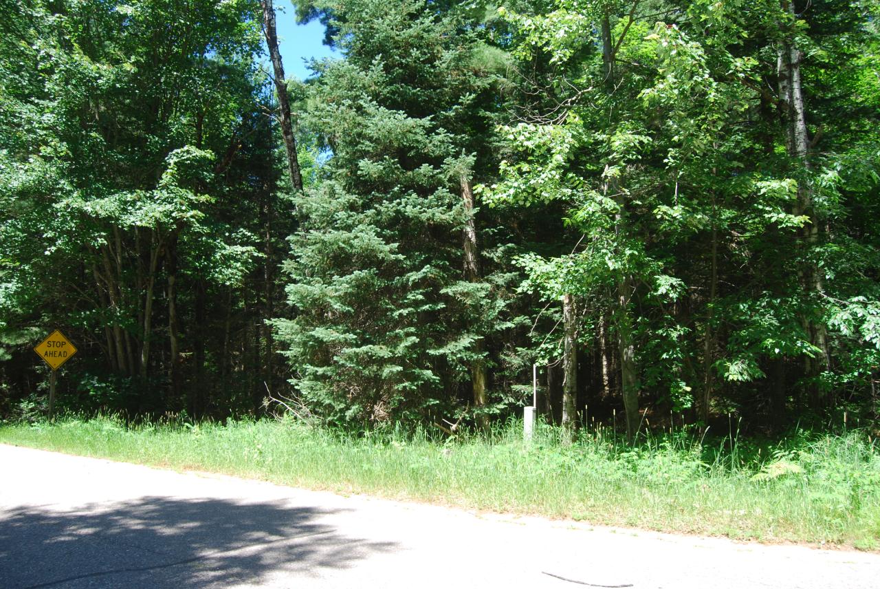 Lot 3 Timber Lodge Rd Crescent Rhinelander, WI 54501 - Photo 1 of 1 Gallery Image 1