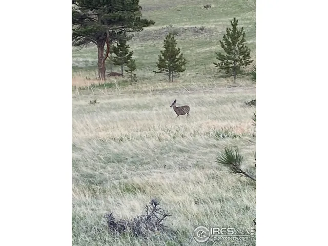 $199,999 | 78 Mt Champion Drive, Livermore, CO 80536