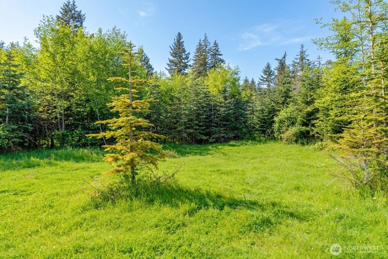 134 Bishop Road Port Angeles, WA 98363 - Photo 32 of 38 a view of yard with green space