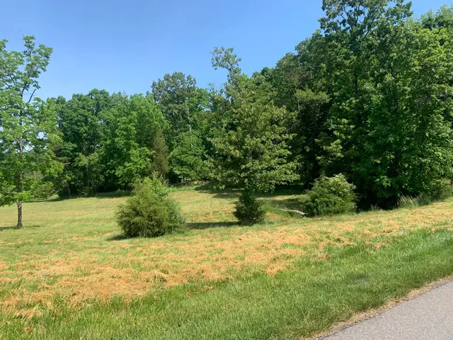 a view of backyard with green space