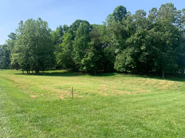 a view of a yard