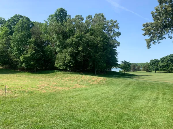 a view of a grassy field with trees