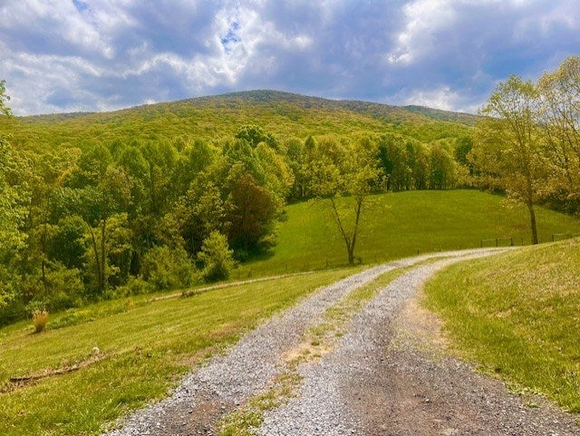 1677 Grapefield Road Bastian, VA 24314 - Photo 6 of 27 Gallery Image 6