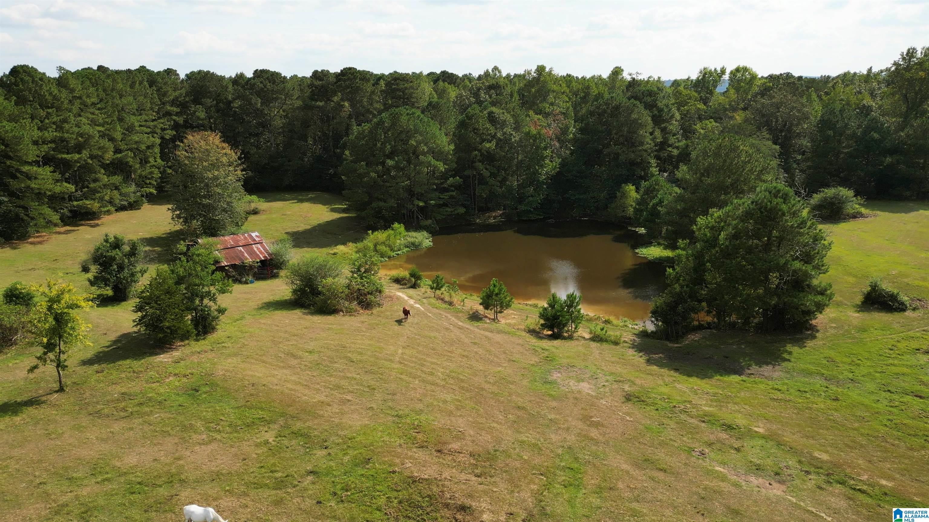 1417 Steve Crowder Road Bessemer, AL 35023 - Photo 1 of 27