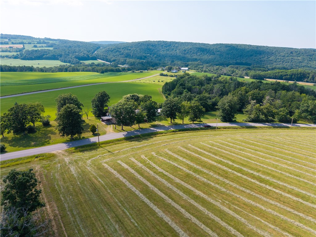 9876 J Jay Knapp Road Ossian, NY 14437 - Photo 50 of 50