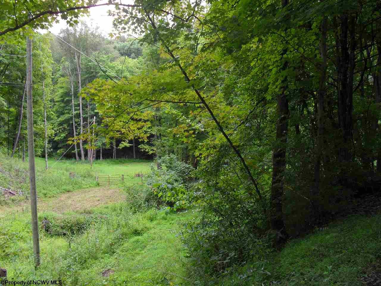 703 Thomas Fork Road Mannington, WV 26582 - Photo 6 of 20 Gallery Image 6