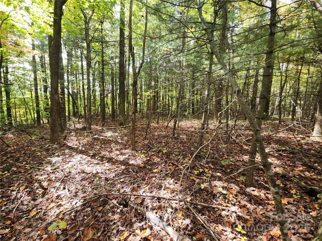 a view of outdoor space and trees