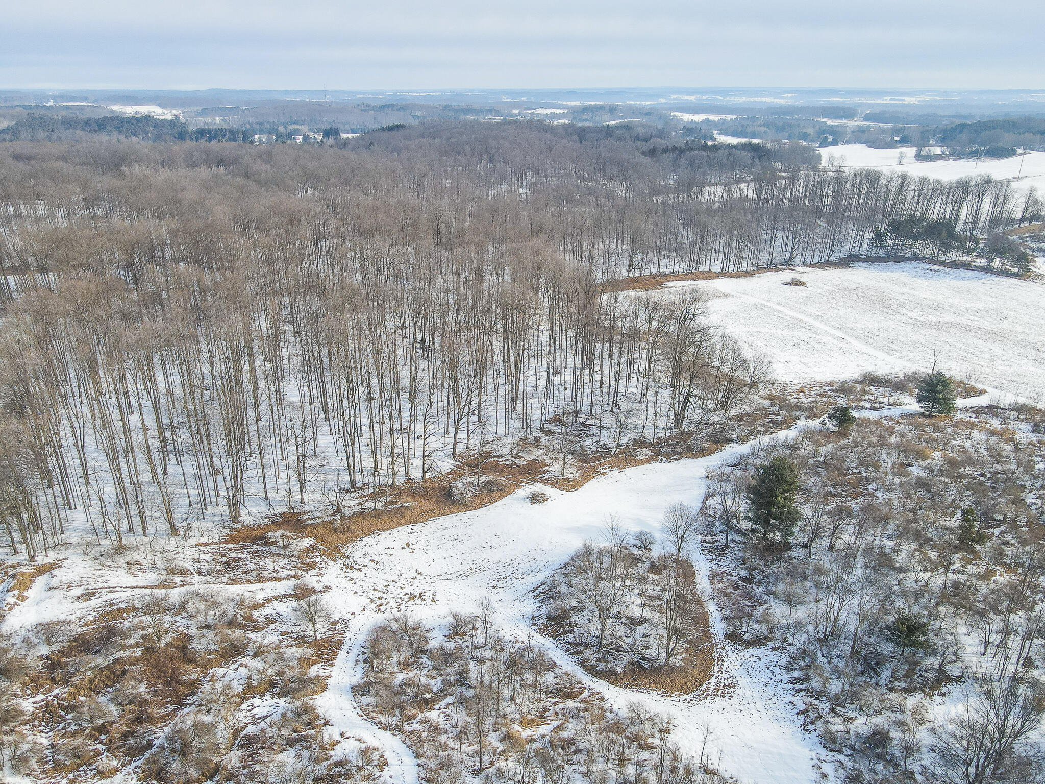 23626 21 Mile Road Paris, MI 49338 - Photo 13 of 61 DJI_0121