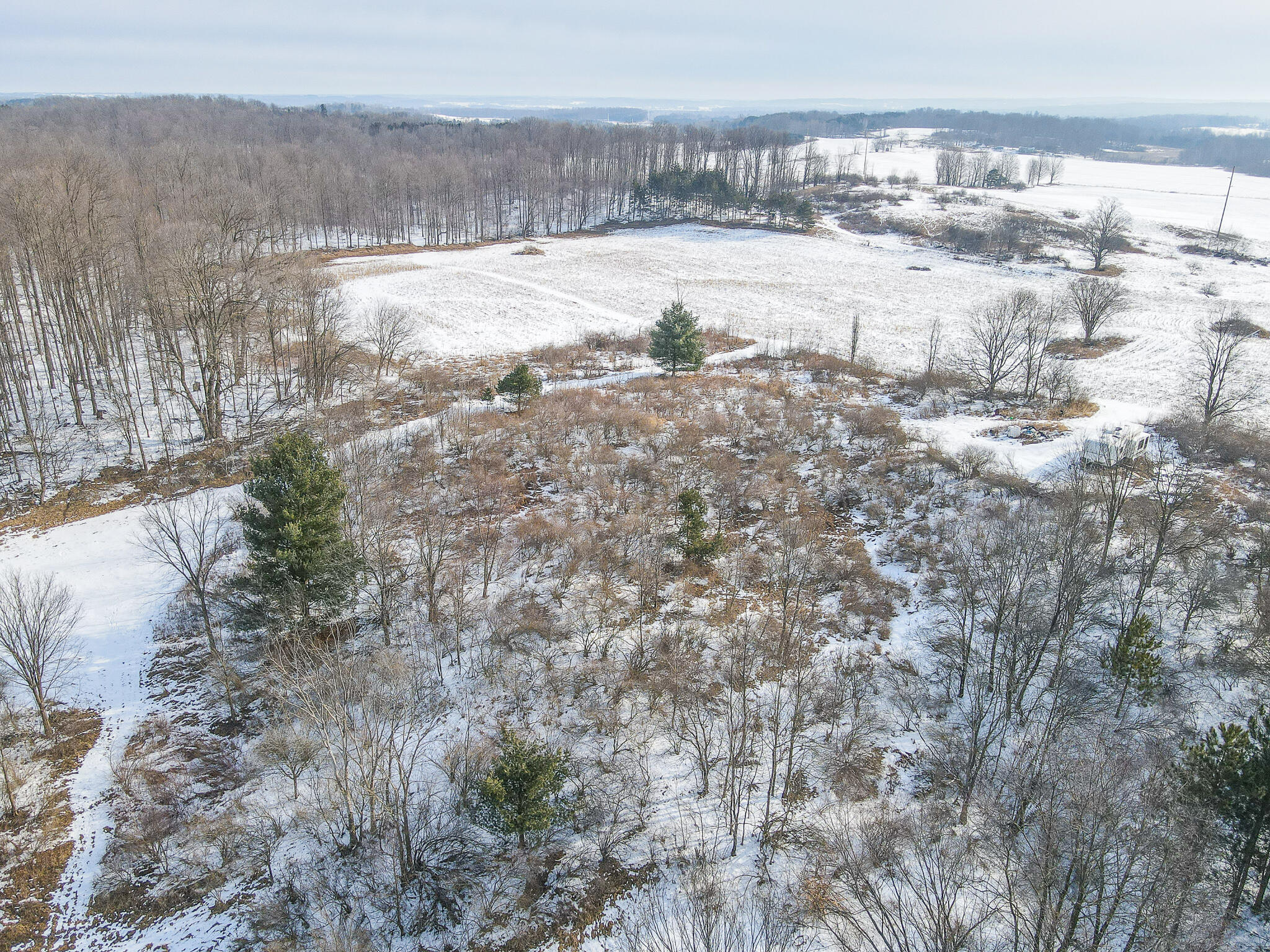 23626 21 Mile Road Paris, MI 49338 - Photo 15 of 61 DJI_0125