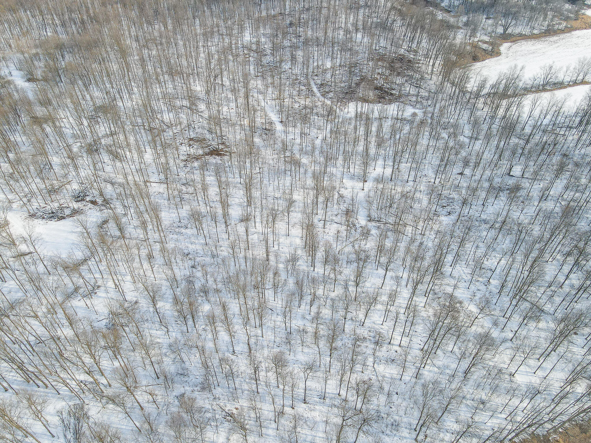 23626 21 Mile Road Paris, MI 49338 - Photo 16 of 61 DJI_0126