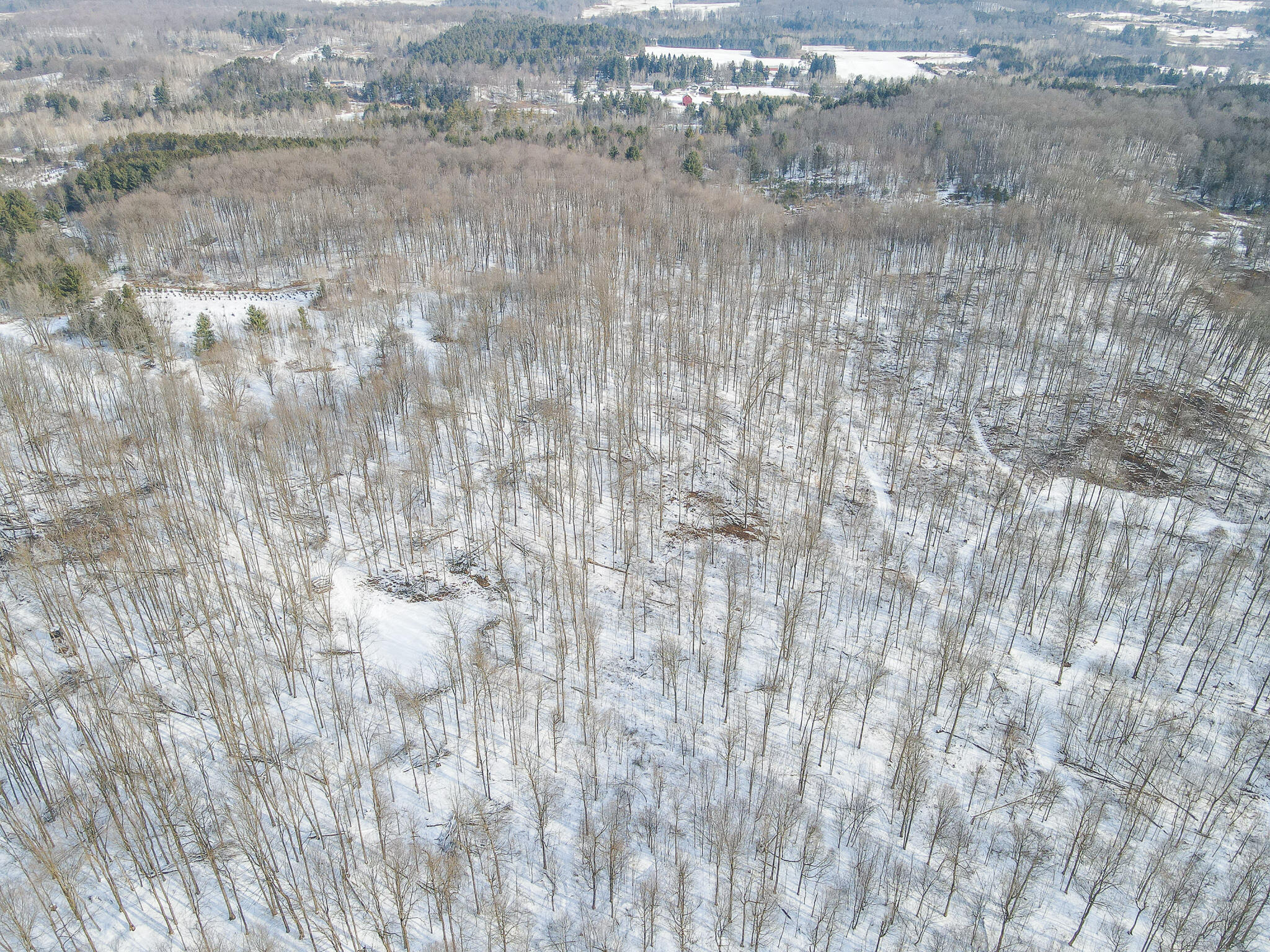 23626 21 Mile Road Paris, MI 49338 - Photo 17 of 61 DJI_0127