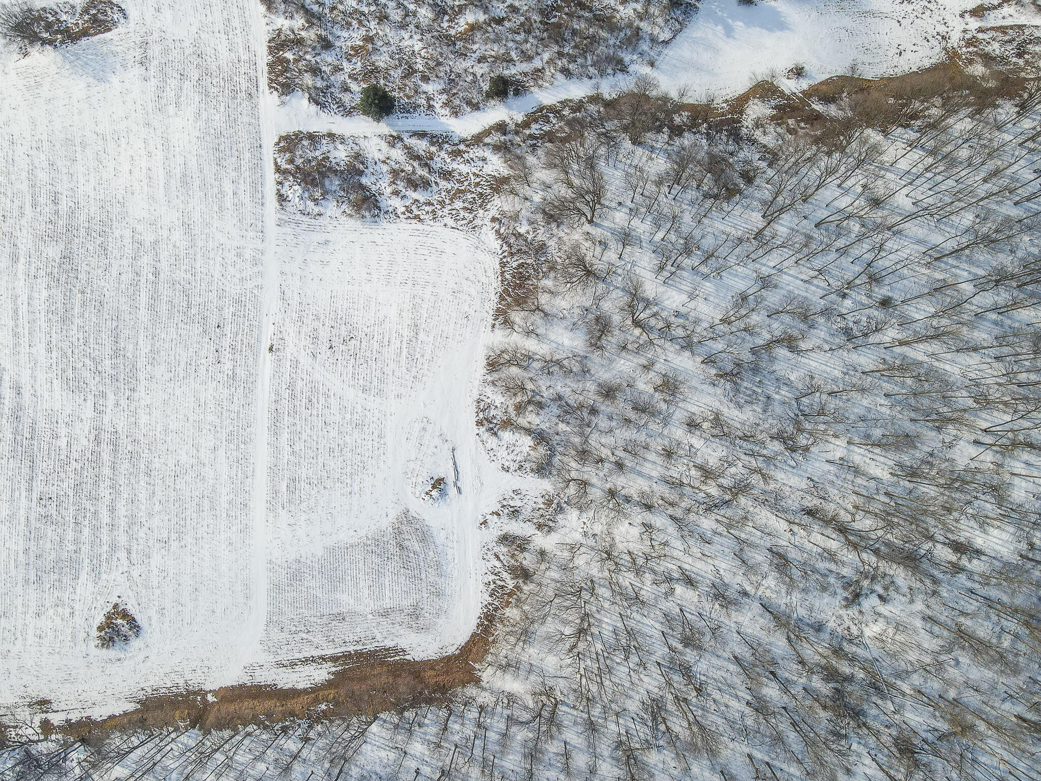 23626 21 Mile Road Paris, MI 49338 - Photo 18 of 61 DJI_0128