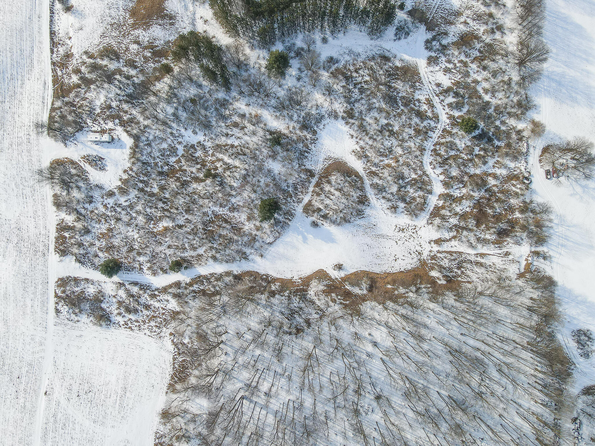 23626 21 Mile Road Paris, MI 49338 - Photo 19 of 61 DJI_0129