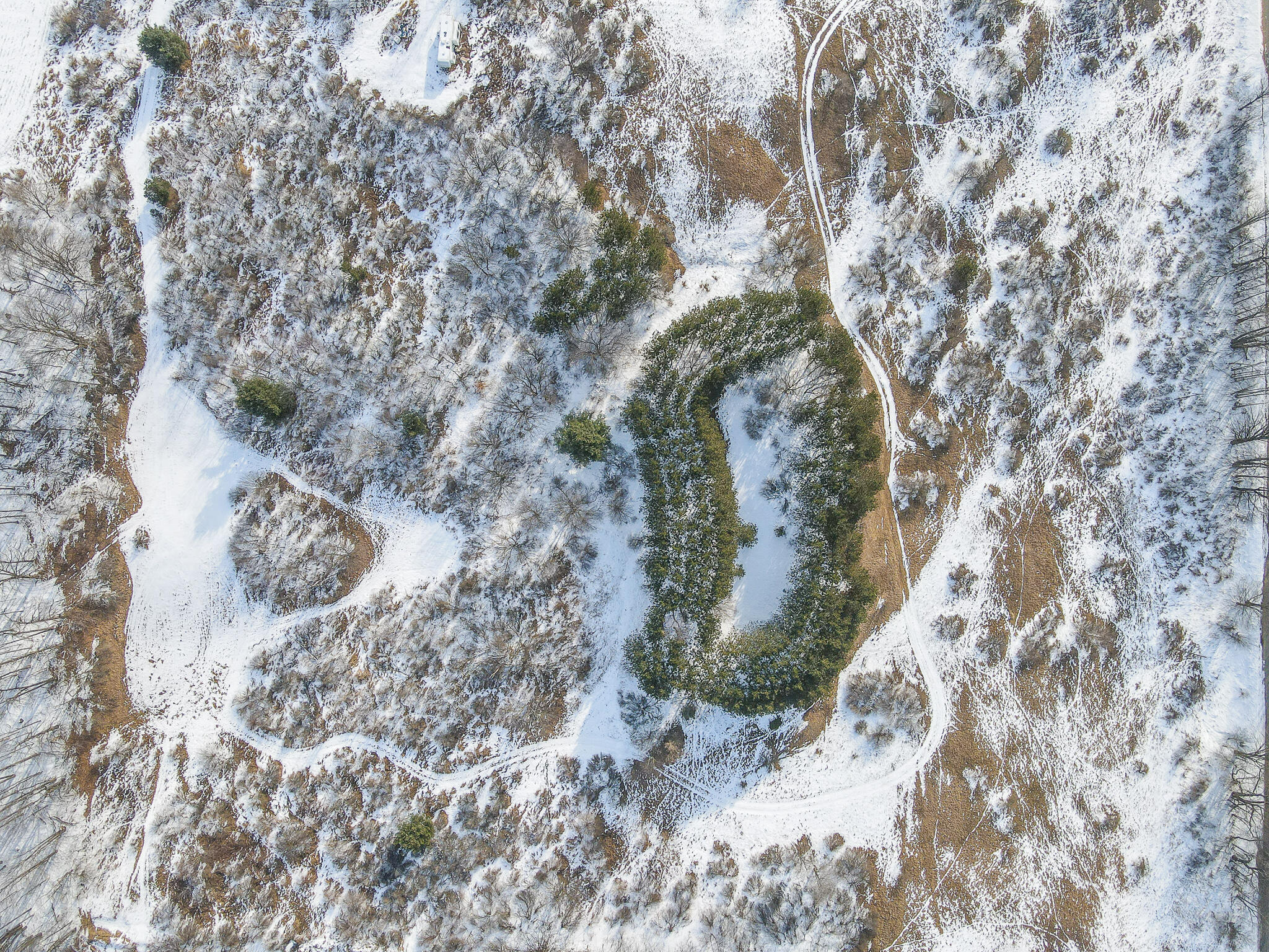 23626 21 Mile Road Paris, MI 49338 - Photo 20 of 61 DJI_0130