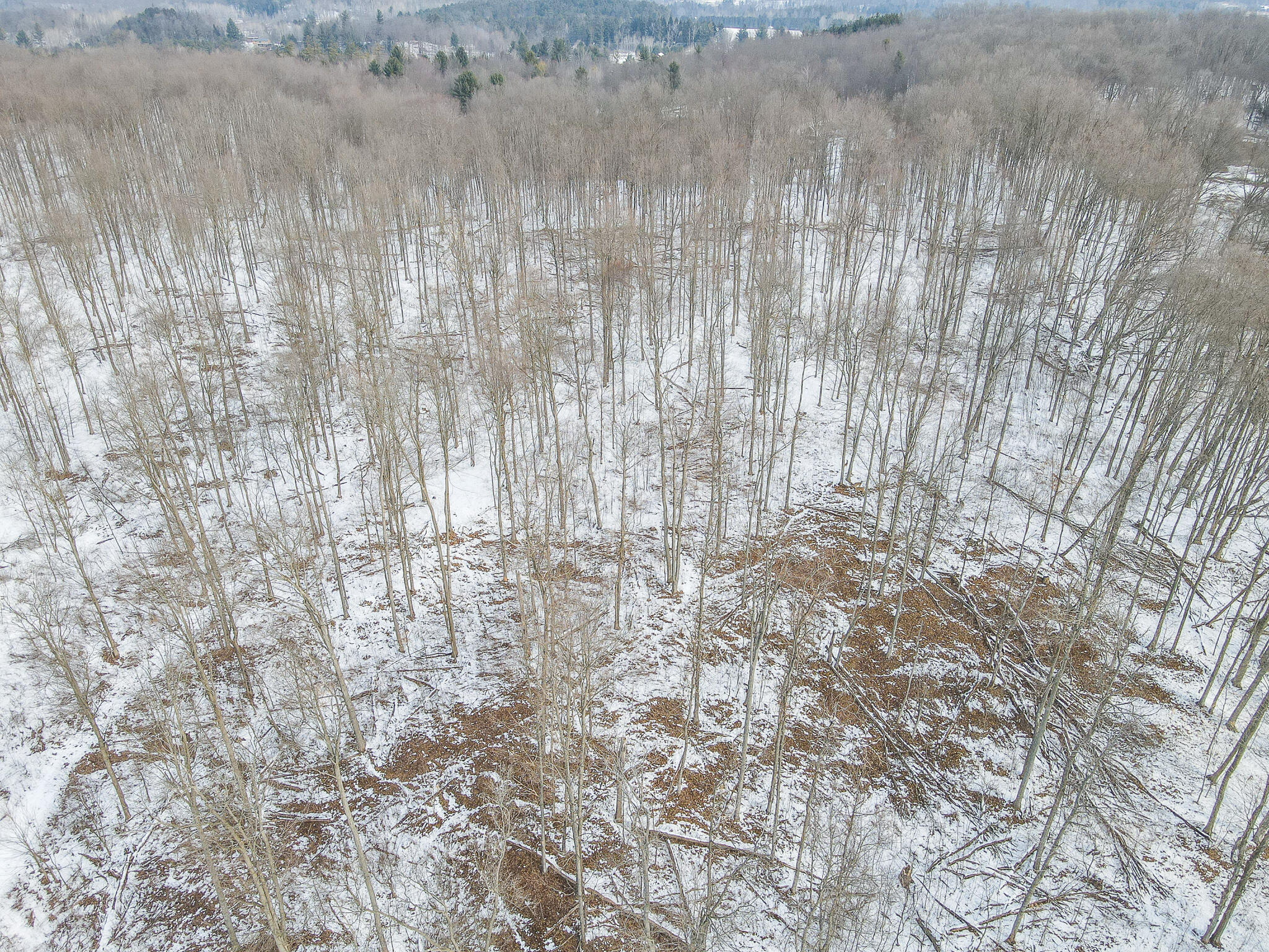 23626 21 Mile Road Paris, MI 49338 - Photo 5 of 61 DJI_0102