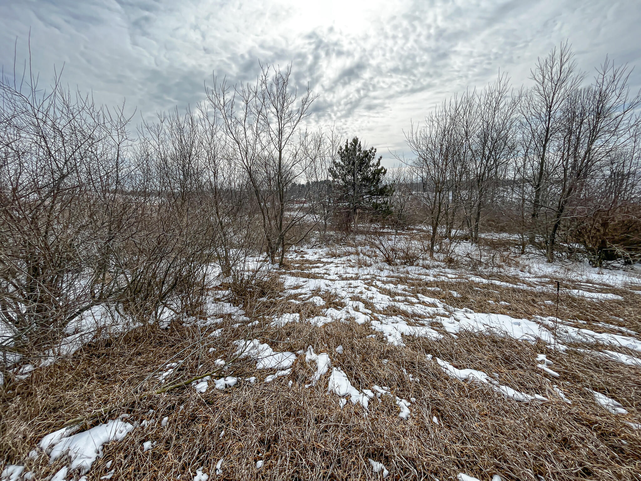 23626 21 Mile Road Paris, MI 49338 - Photo 57 of 61 IMG_2275
