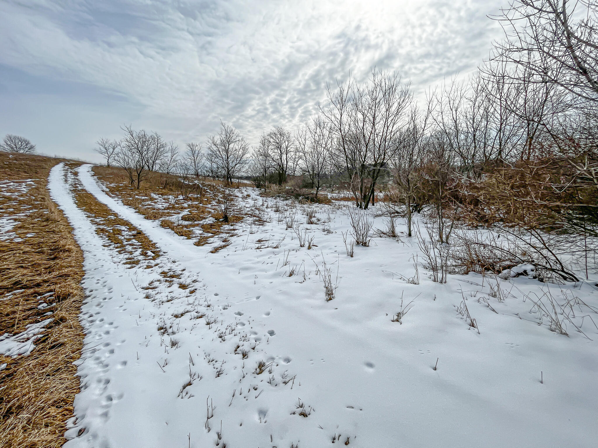 23626 21 Mile Road Paris, MI 49338 - Photo 59 of 61 IMG_2277