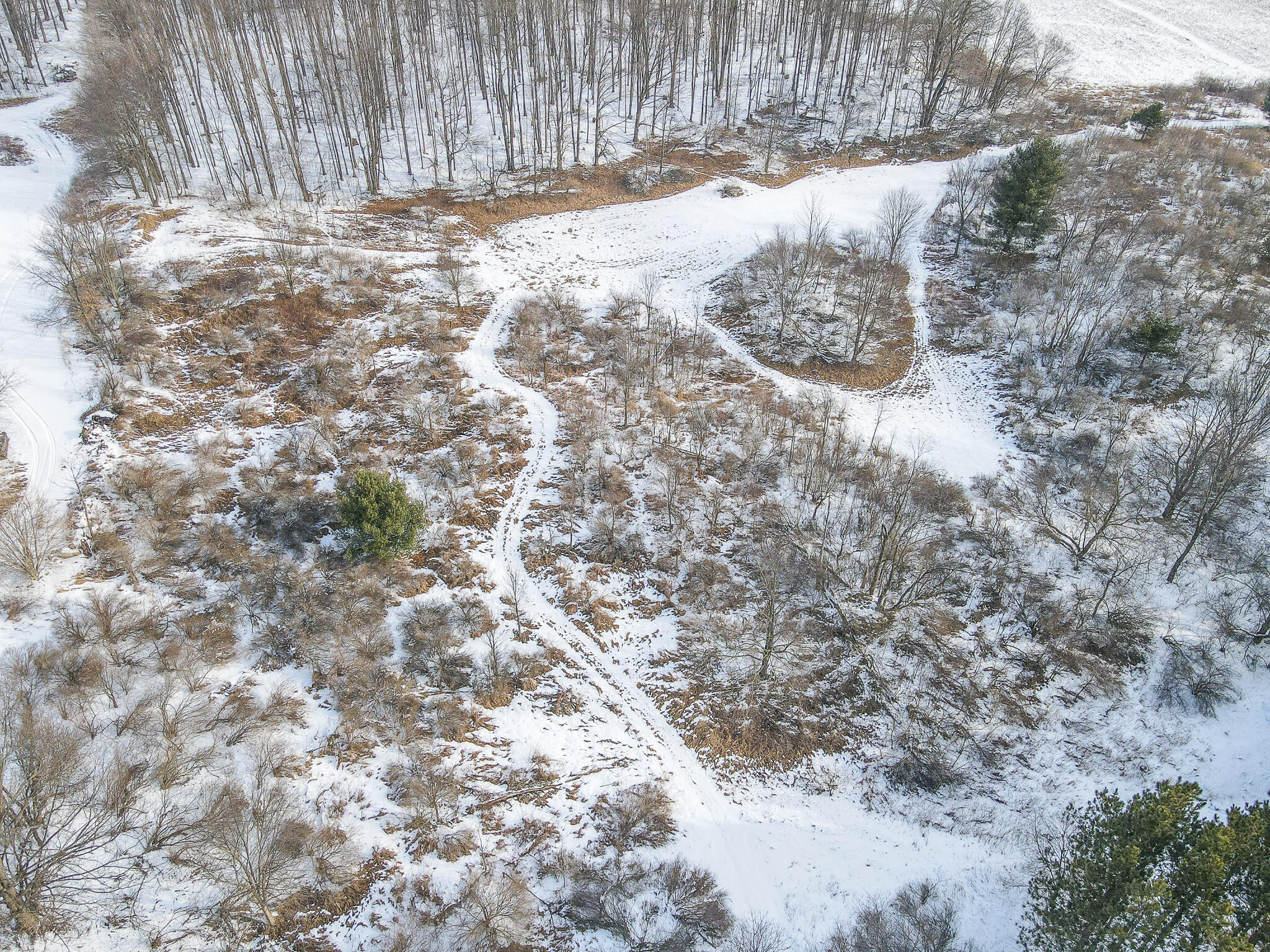 23626 21 Mile Road Paris, MI 49338 - Photo 6 of 61 DJI_0113