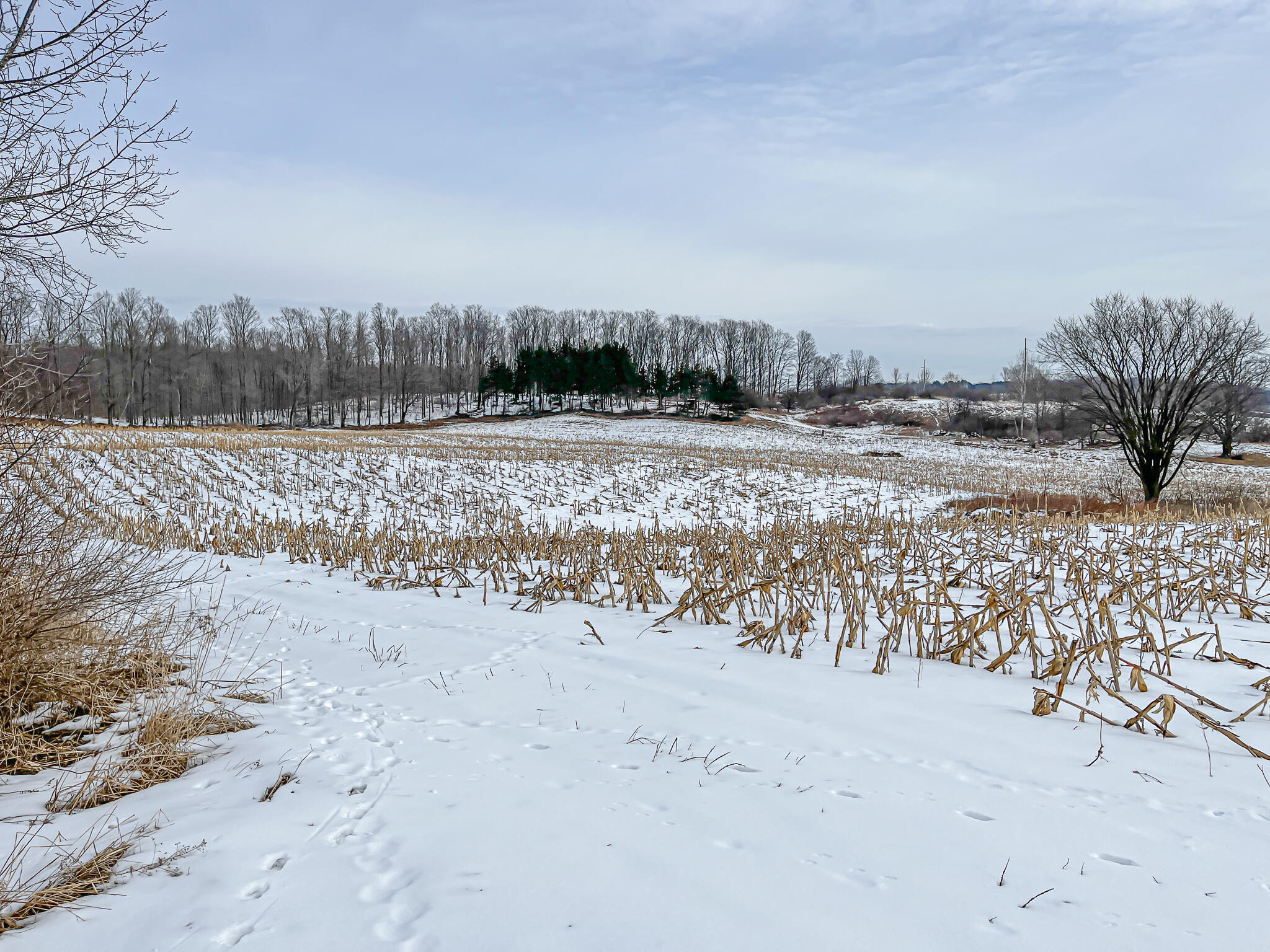23626 21 Mile Road Paris, MI 49338 - Photo 61 of 61 IMG_2281