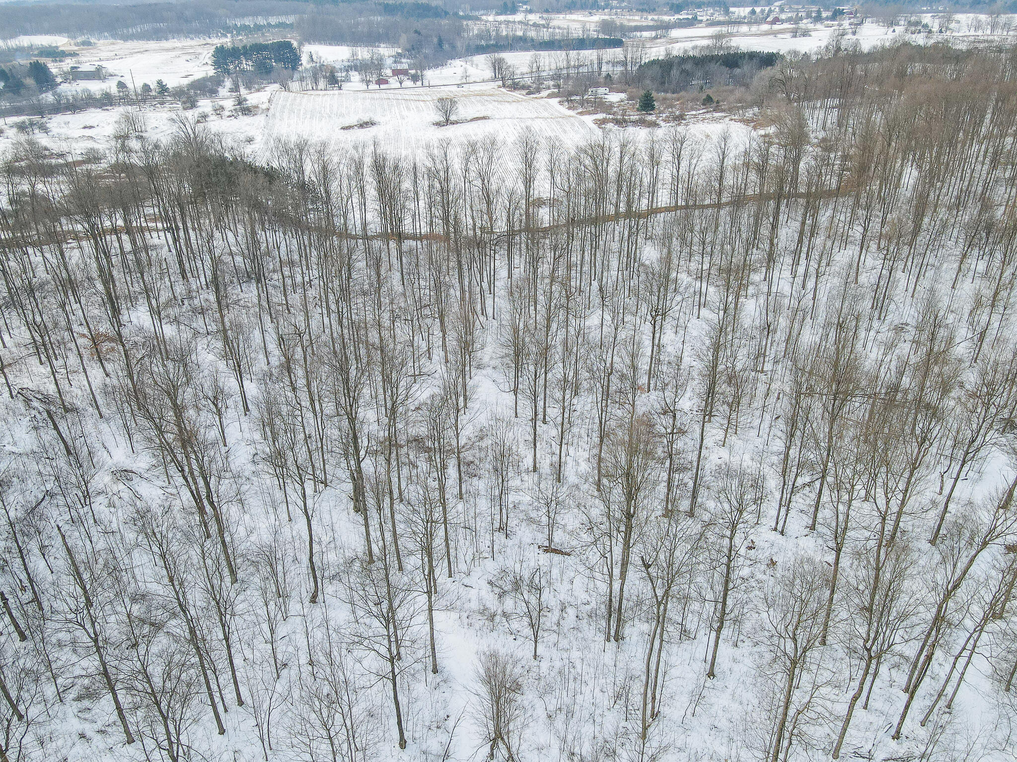 23626 21 Mile Road Paris, MI 49338 - Photo 7 of 61 DJI_0103