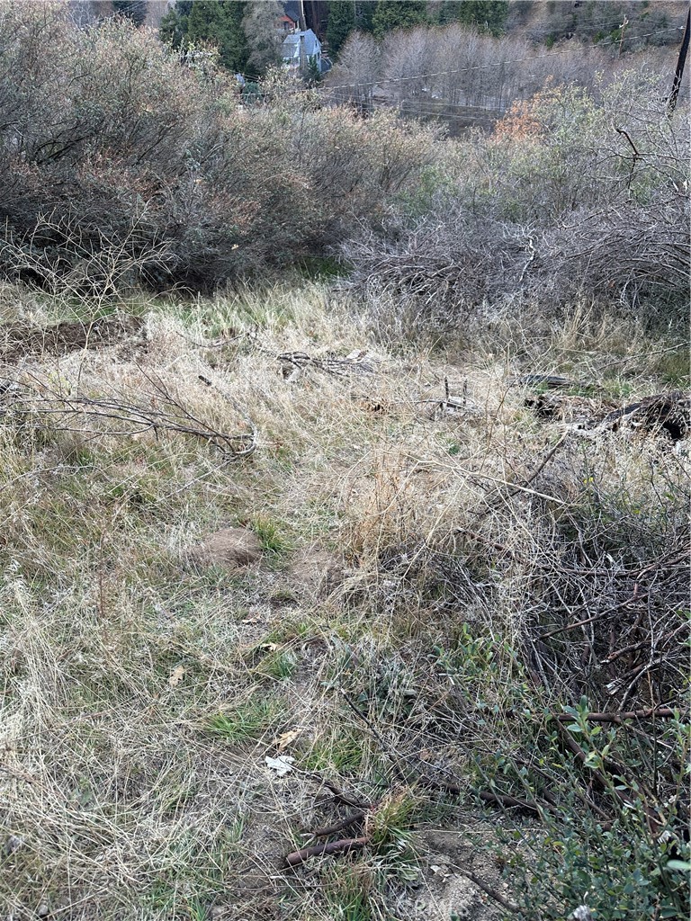 256 Jasper Street Cedar Glen, CA 92321 - Photo 13 of 18 a view of a dry yard with wooden floor and fence