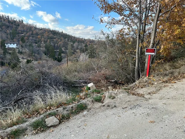 a view of a dry yard with trees