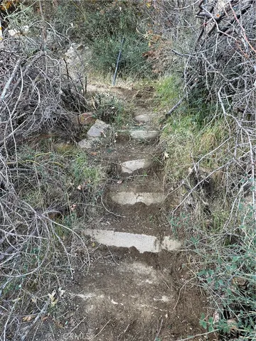 a view of a dry yard with lots of green space