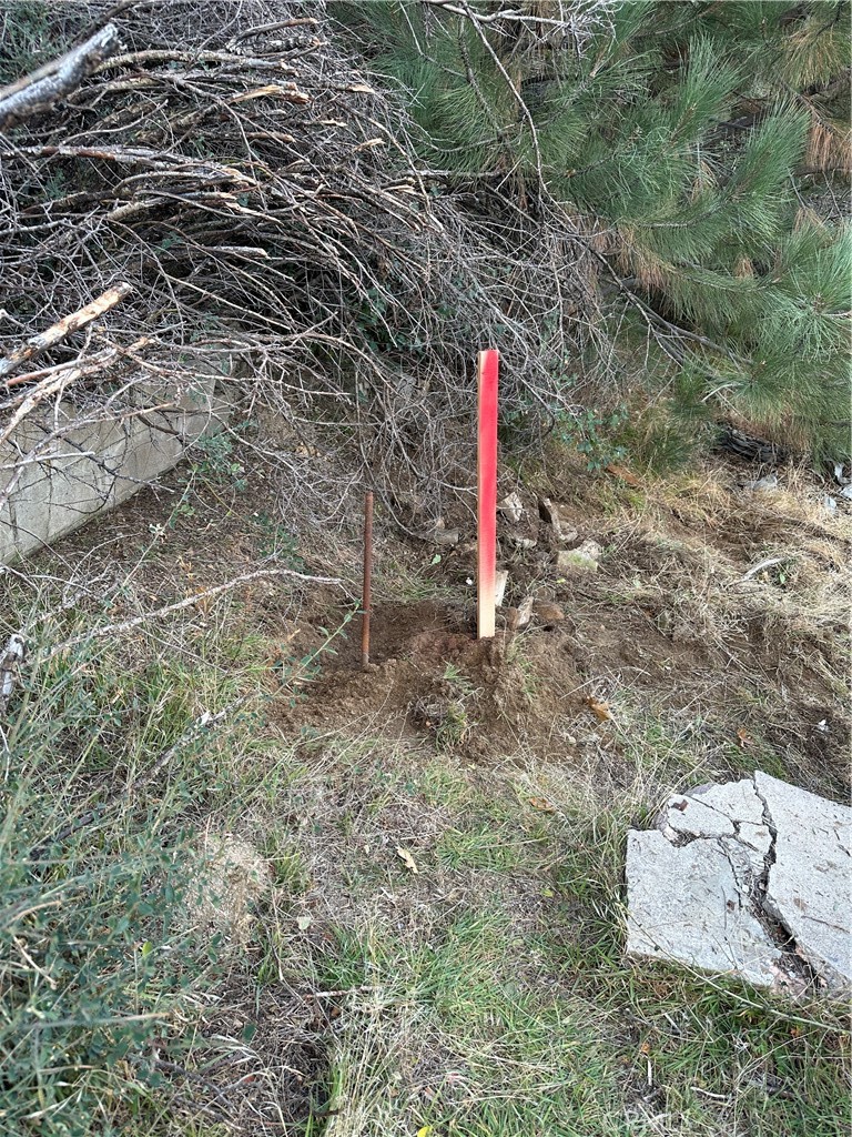 256 Jasper Street Cedar Glen, CA 92321 - Photo 7 of 18 a flag is sitting in the middle of a field