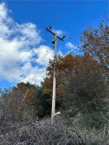a view of a dry yard