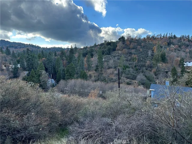 a view of a dry yard