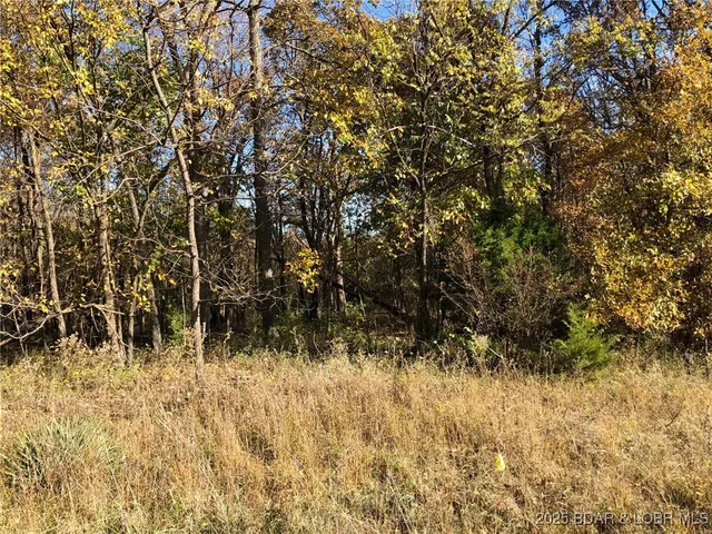 $75,000 | South South Van Buren Street, Versailles, MO 65084