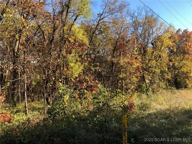 $75,000 | South South Van Buren Street, Versailles, MO 65084