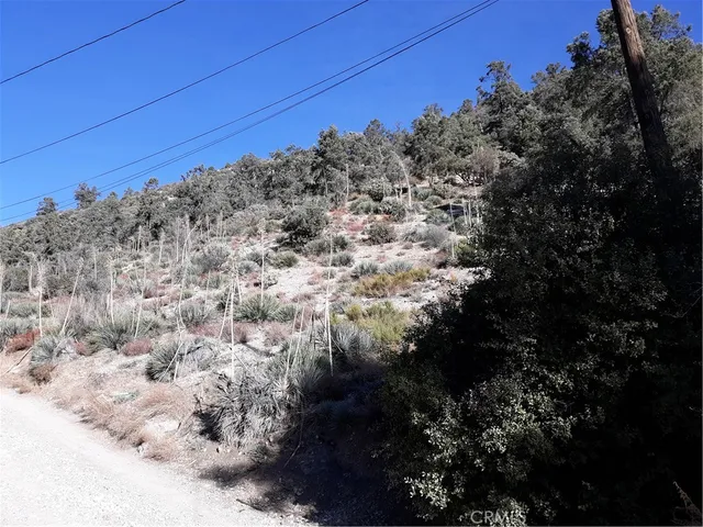 a view of a yard of the house
