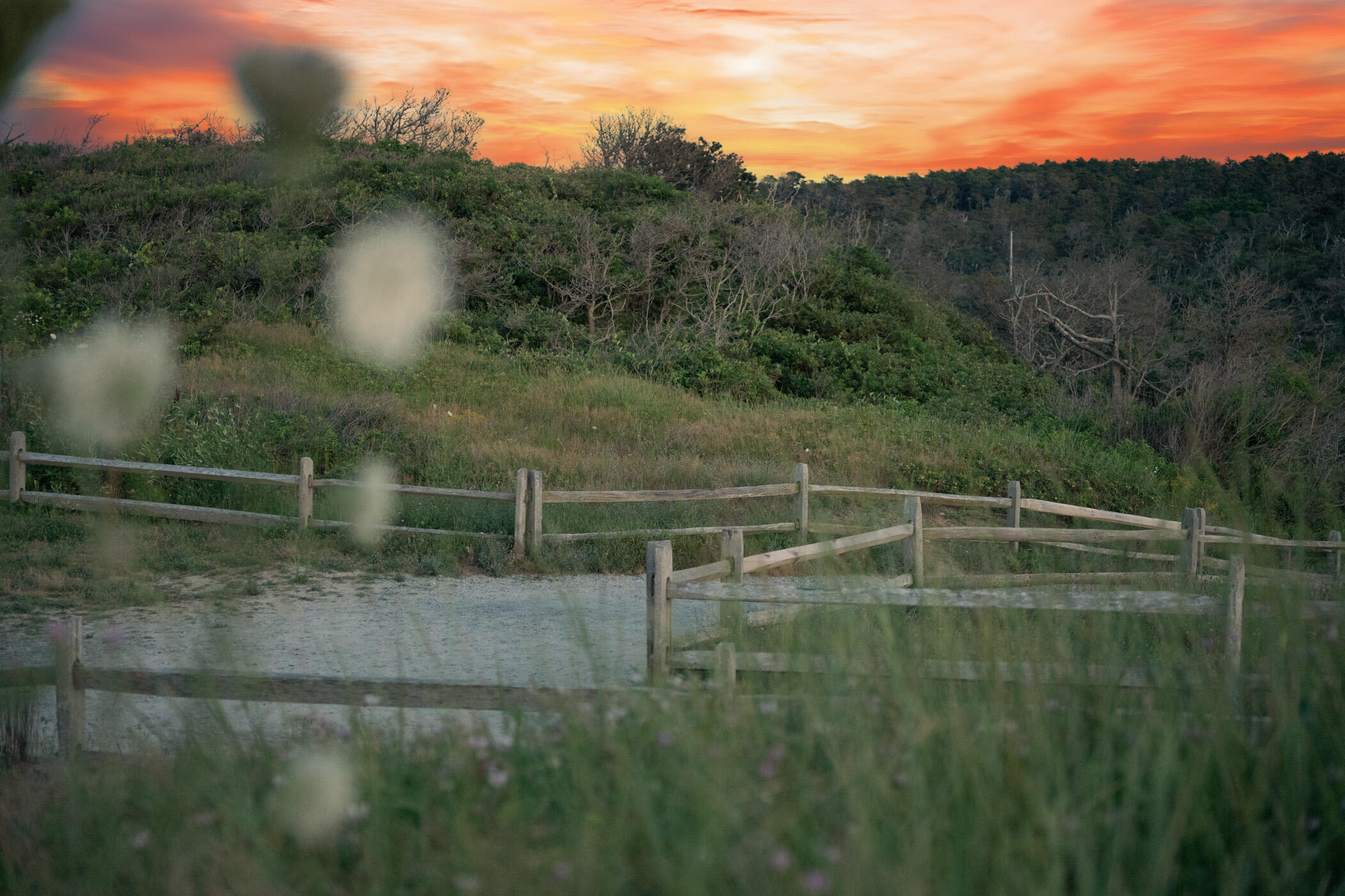 90 Log Cabin Road Eastham, MA 02642 - Photo 58 of 63 Path to Nauset Light Beach