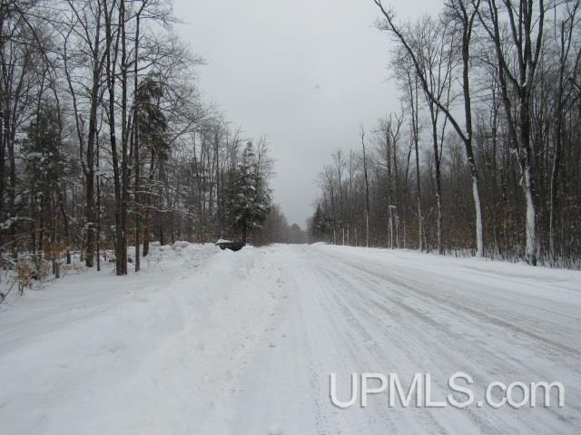 16 Mile Lake Road Munising, MI 49862 - Photo 16 of 16
