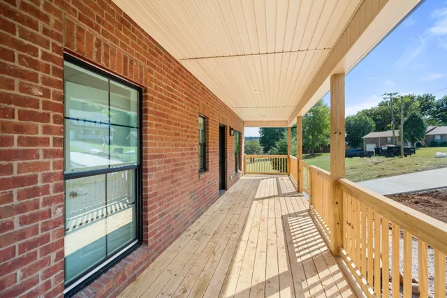 a view of a yard with plants