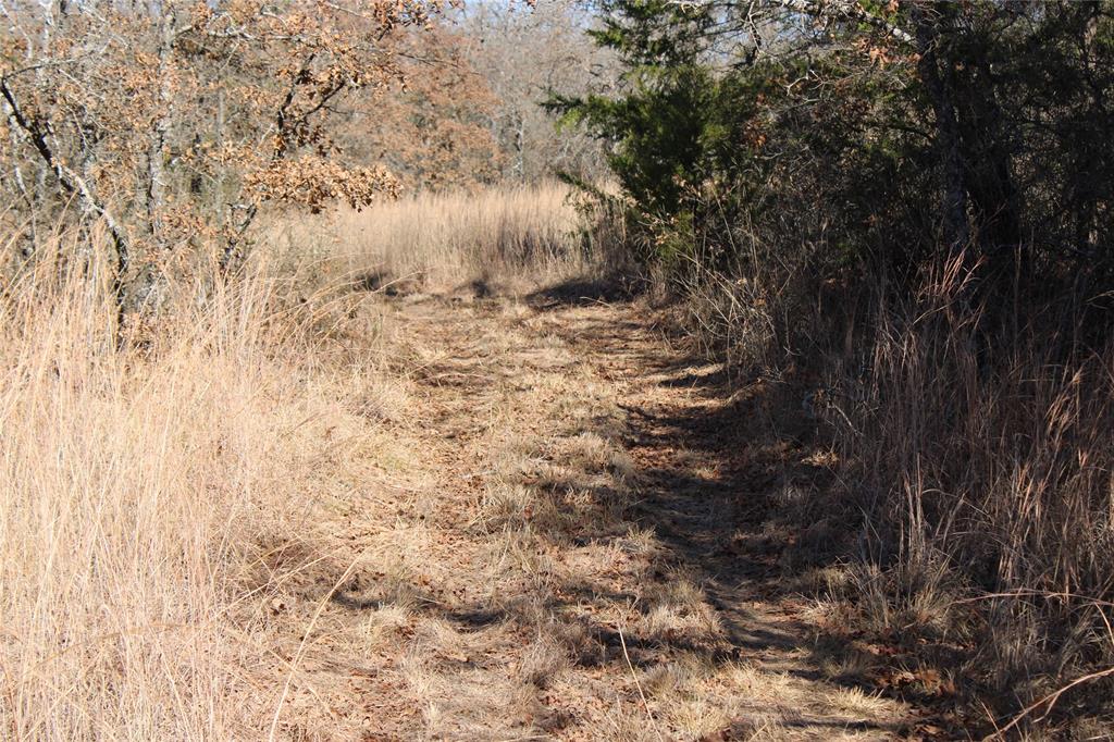 574 County Road 1793 Sunset, TX 76270 - Photo 13 of 18 a view of a yard