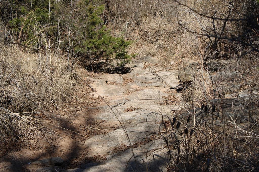 574 County Road 1793 Sunset, TX 76270 - Photo 14 of 18 a view of a dry yard with trees