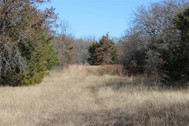 a view of a dry yard in front of house