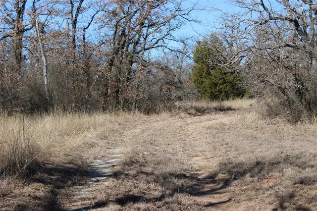a view of a dry yard with lots of green space