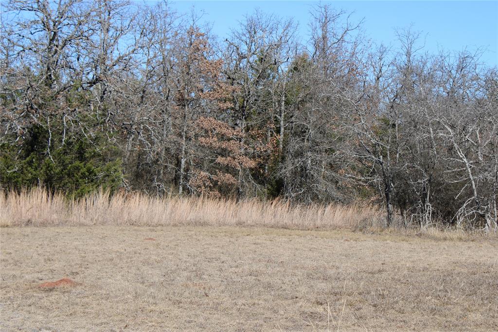 574 County Road 1793 Sunset, TX 76270 - Photo 3 of 18 a view of a park