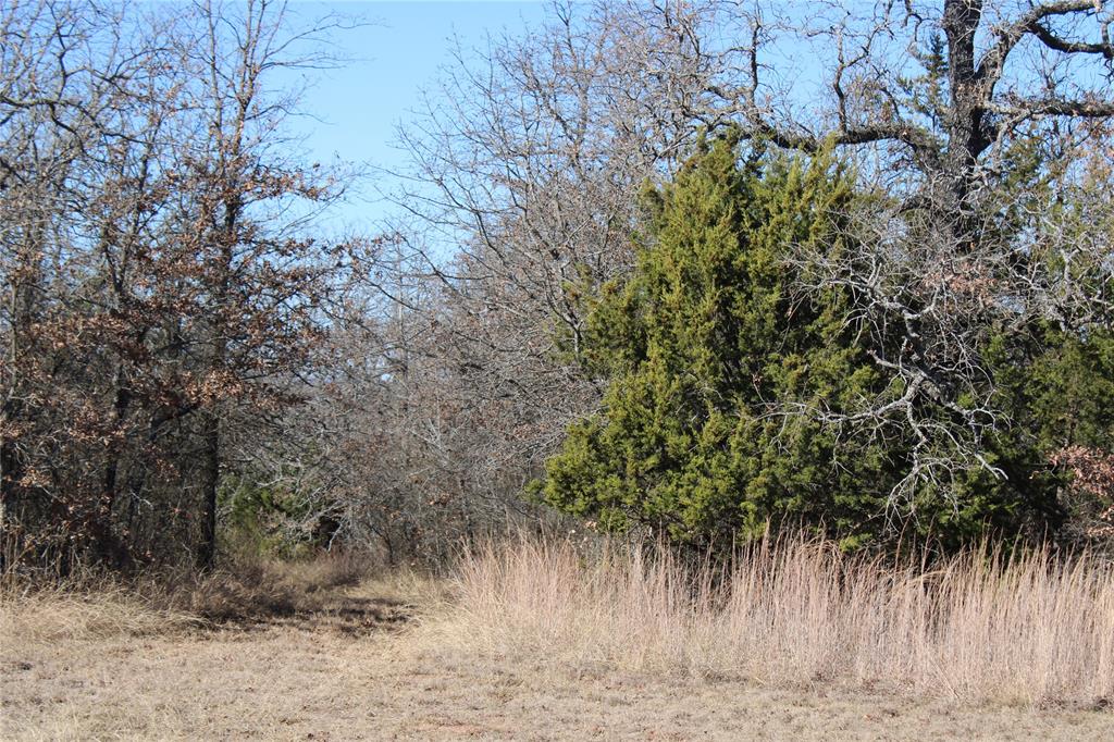 574 County Road 1793 Sunset, TX 76270 - Photo 4 of 18 a view of a yard