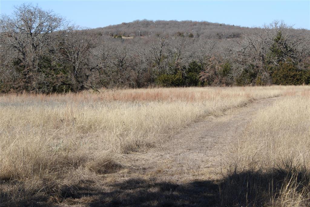 574 County Road 1793 Sunset, TX 76270 - Photo 5 of 18 a view of a dry yard
