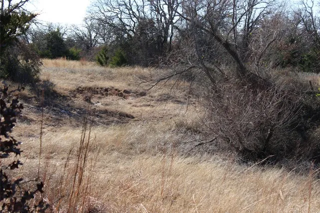 a view of a dry yard with trees