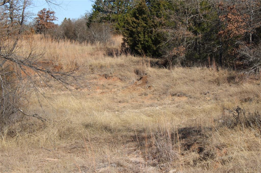 574 County Road 1793 Sunset, TX 76270 - Photo 8 of 18 a view of a yard