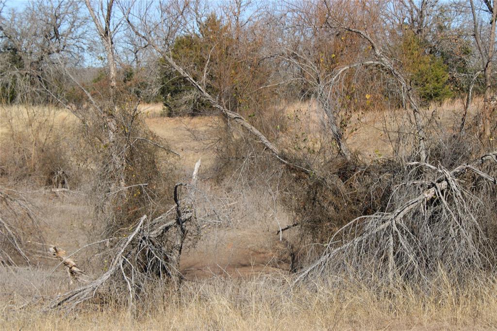 574 County Road 1793 Sunset, TX 76270 - Photo 9 of 18 a view of a forest of a house