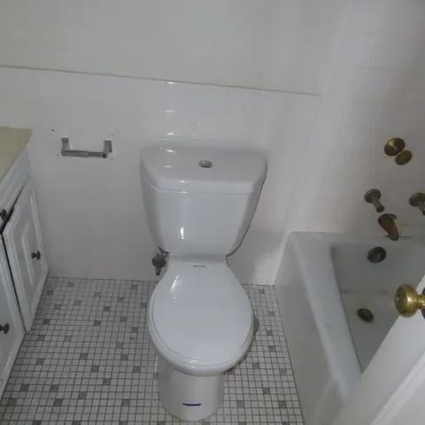 a view of a lot of trees in a yard