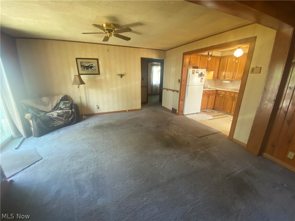 541 Spring Street Struthers, OH 44471 - Photo 7 of 26 Gallery Image 7