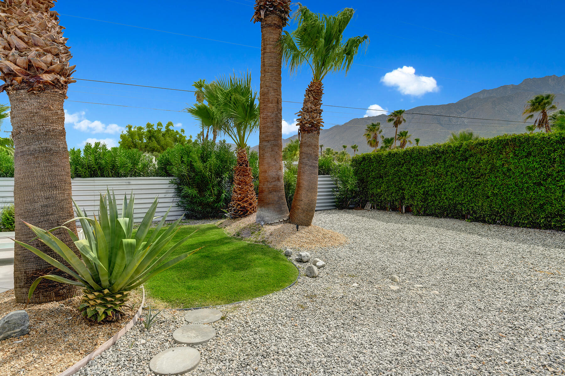 915 East Racquet Club Road Palm Springs, CA 92262 - Photo 36 of 36 YARD AND VIEWS.jpg mls