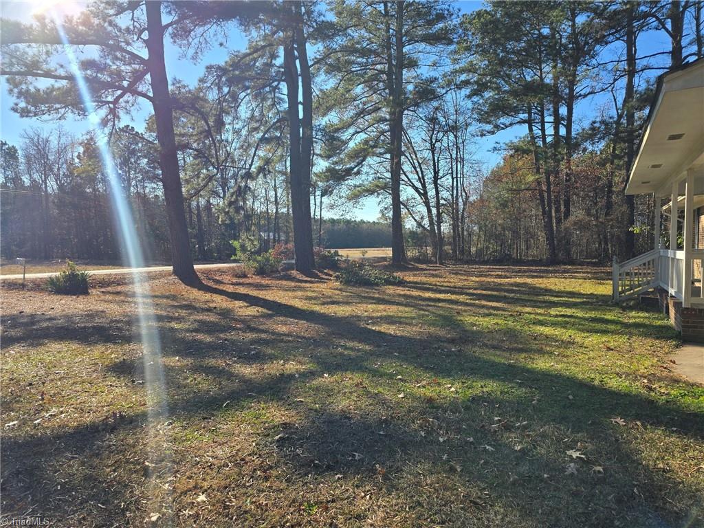 490 Dick Harmony Road Rich Square, NC 27869 - Photo 18 of 25 Gallery Image 18
